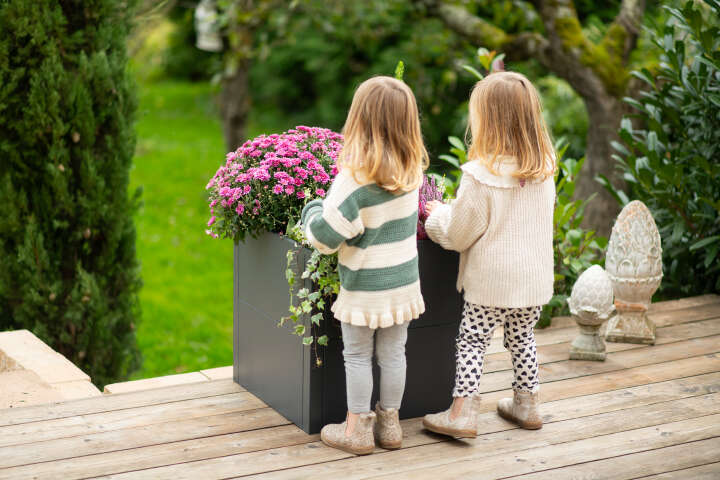 WESTMANN Pflanzkübel Talus